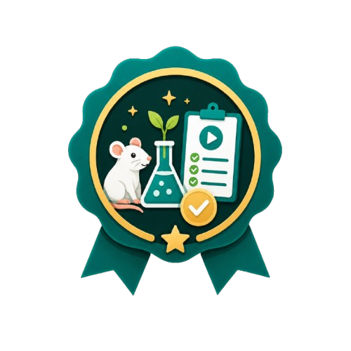 Tema de primera prueba