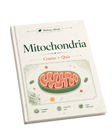 e-Book PDF: Mitochondria - Course and Quiz