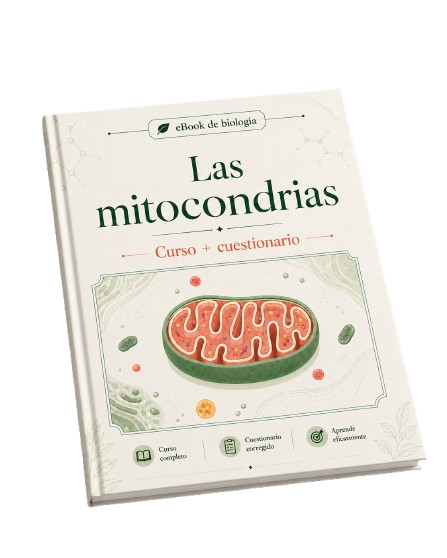 e-Book PDF: Mitocondrias - Curso y cuestionario