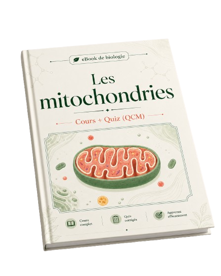 e-Book PDF : Les Mitochondries - Cours et QCM (Quiz) 