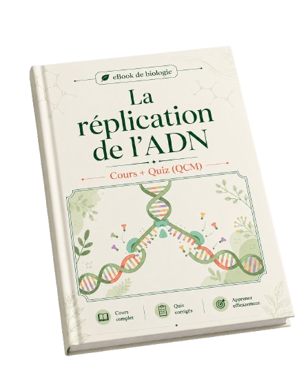 e-Book PDF : La réplication de l'ADN - Cours et QCM (Quiz)