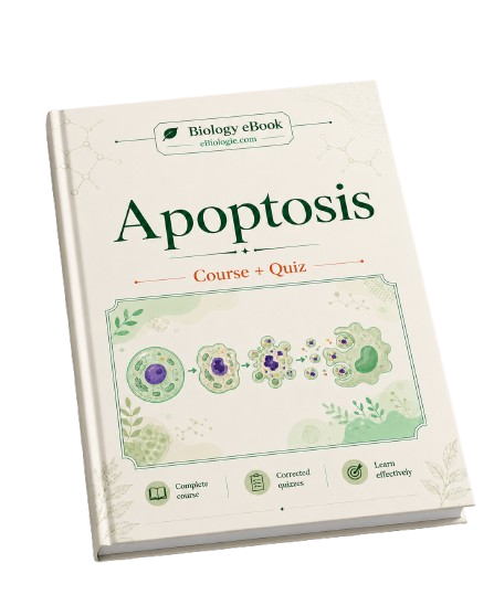 e-Book PDF: Apoptosis - Course and Quiz