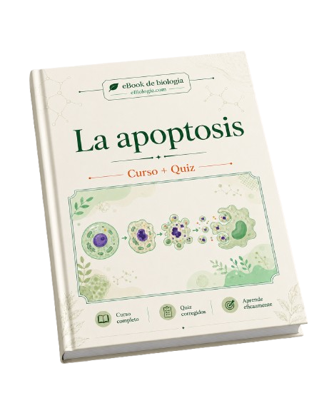 e-Book PDF: Apoptosis - Curso y cuestionario
