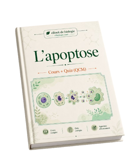 e-Book PDF : L'apoptose - Cours et QCM (Quiz)