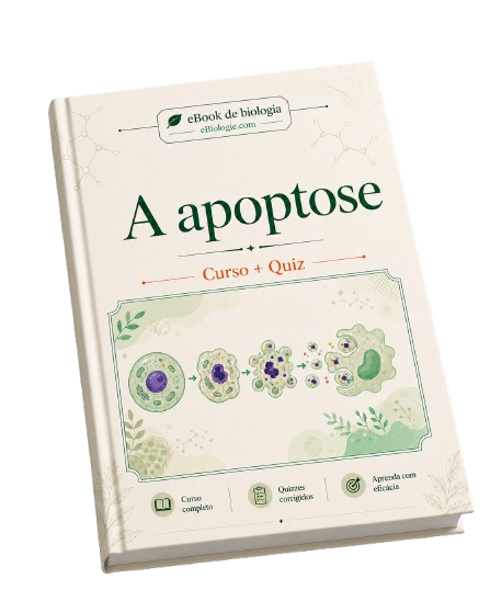 e-Book PDF: Apoptose - Curso e Questionário