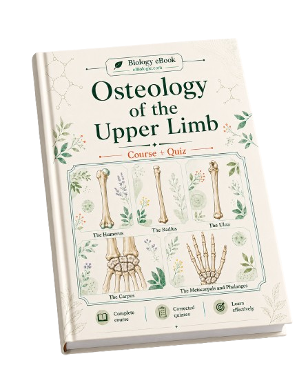 e-Book PDF: Osteology of the Upper Limb (Courses + Quiz)