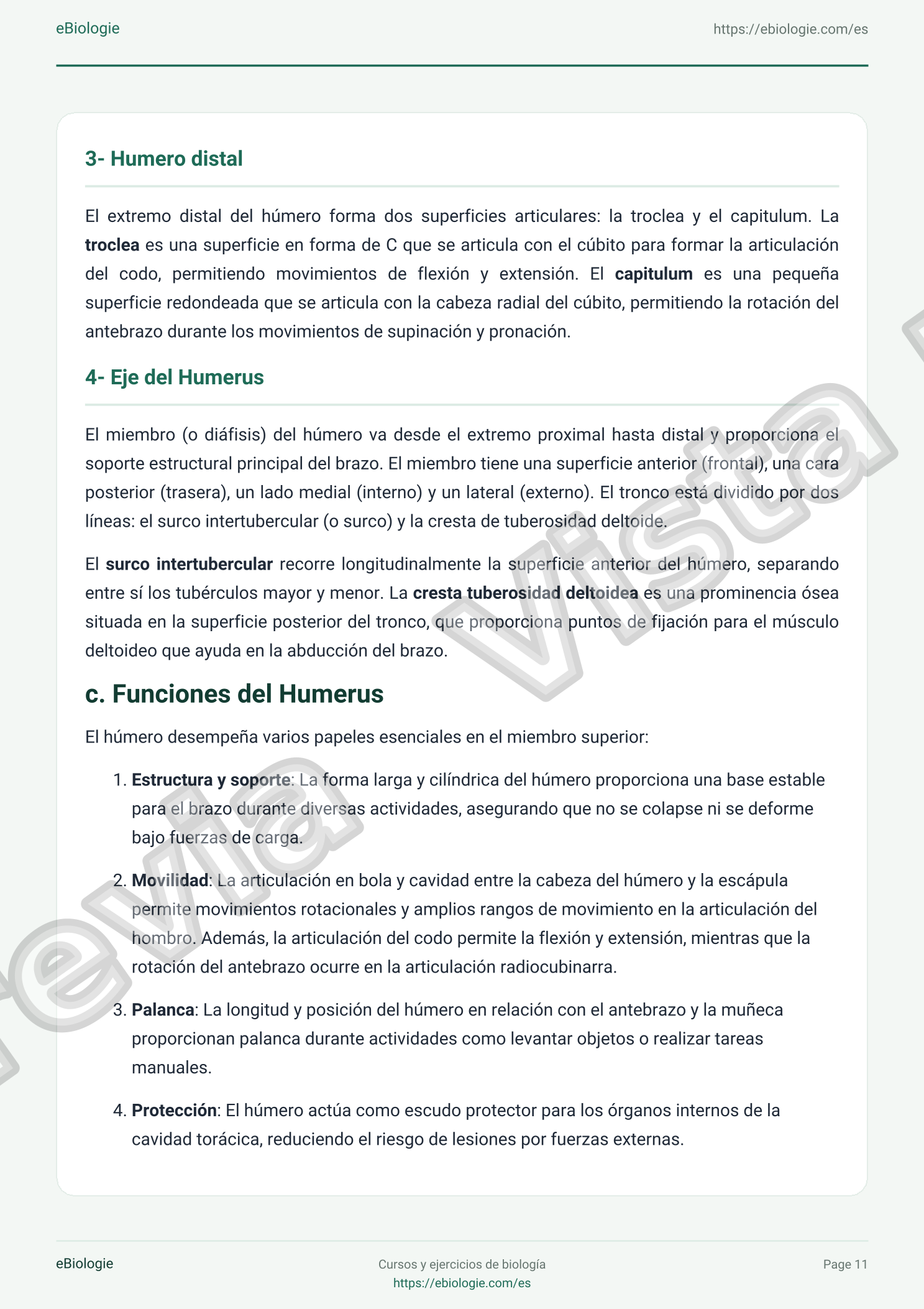e-Book PDF: Osteología del miembro superior (Cursos + Cuestionario)