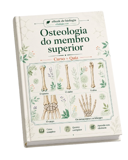 e-Book PDF: Osteologia do Membro Superior (Cursos + Questionário)