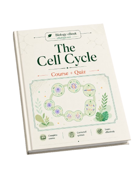 eBook PDF: The Cell Cycle - Course and Quiz