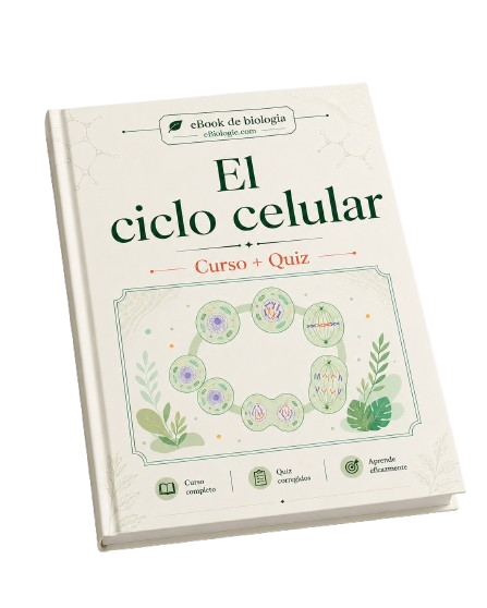 e-Book PDF: El ciclo celular - Curso y cuestionario