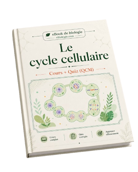 e-Book PDF : Le cycle cellulaire - Cours et QCM (Quiz)